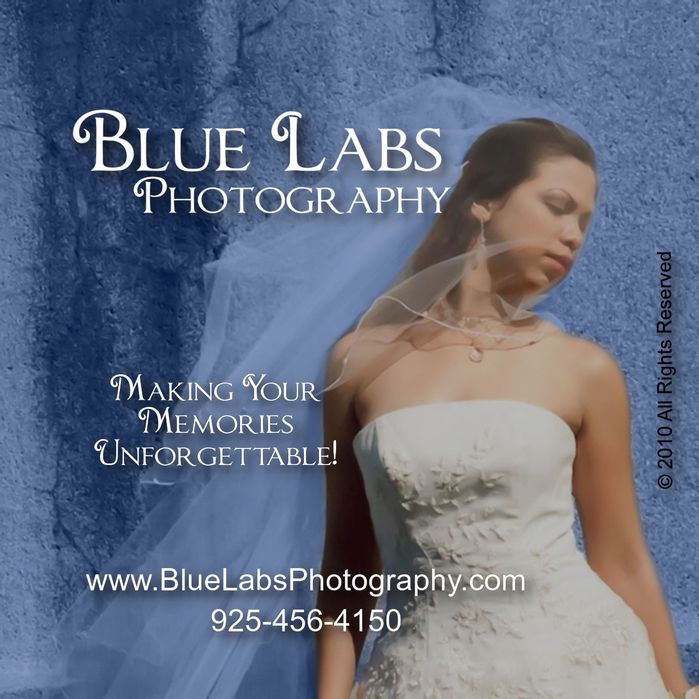 Blue Labs Photography